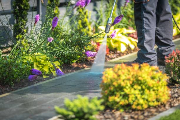 Mehlville, MO Pressure Washing Services Company